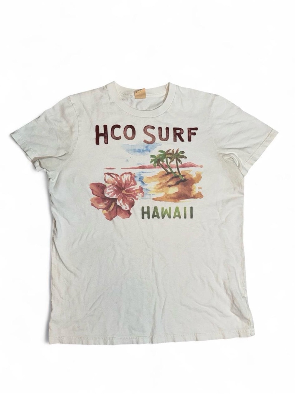 Vintage Y2K Hollister HCO Surf Hawaii T Shirt